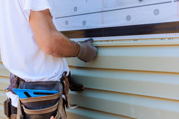 Best Aluminum Siding Installation  in De Soto, IA